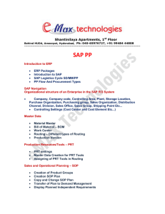 SAP PP - e Max Technologies