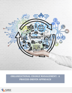 Process-Driven Change Management for ERP
