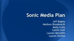 Sonic Media Plan