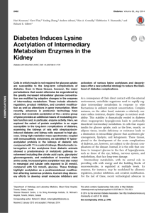 Diabetes Induces Lysine Acetylation of Intermediary Metabolism