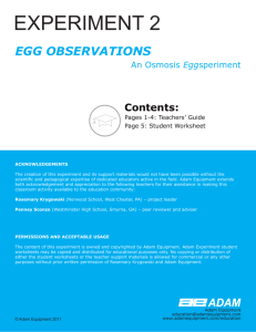 Experiment 2 EGG OBSERVATIONS