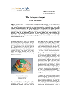 Issue 32_The things we forget