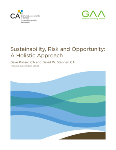 Sustainability, Risk and Opportunity: A Holistic Approach