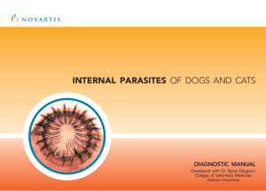 internal parasites of dogs and cats