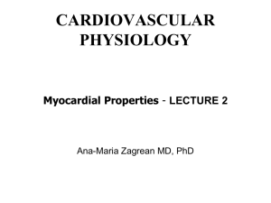 cardiovascular system physiology 2
