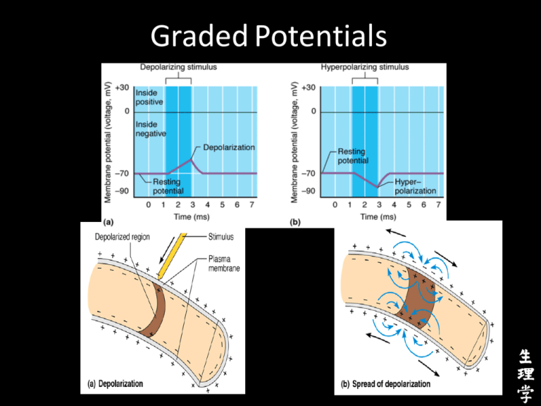 Graded Potentials