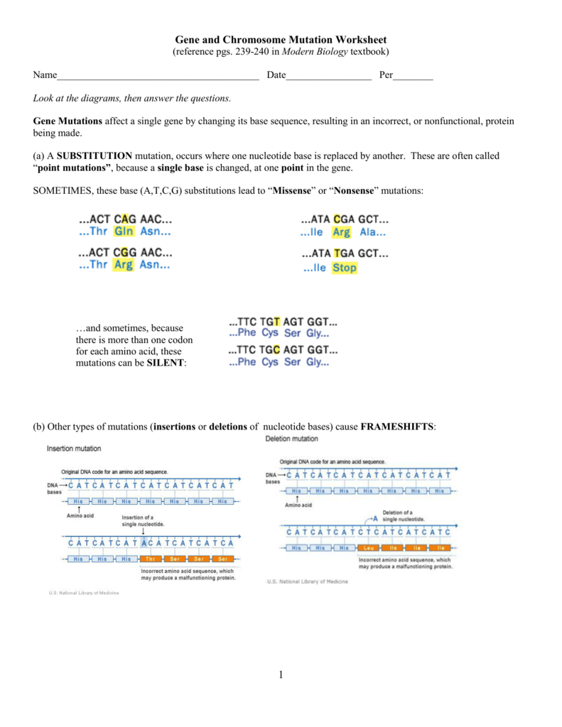 12-gene-and-chromosome-mutation-worksheet-worksheeto