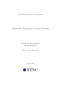 Catastophic Forgetting in Neural Networks