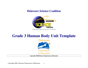 Grade 3 Human Body Unit Template