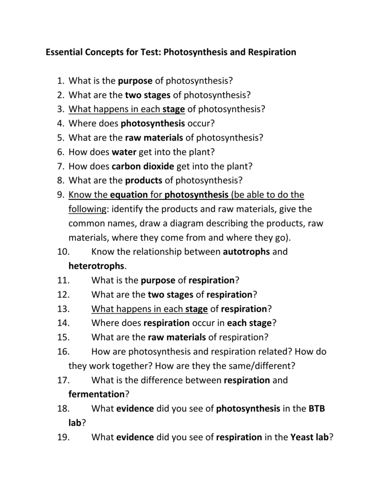 Essential Concepts For Test Photosynthesis And Respiration 1 What