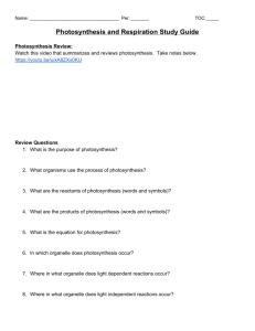 Photosynthesis and Respiration Study Guide