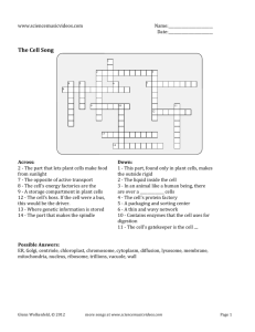 Cell Song Easy Crossword Puzzle