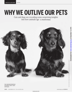 WHY WE OUTLIVE OUR PETS