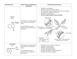 Plant Hormone Chart