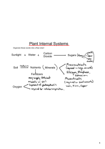 Plant Needs and Hormones