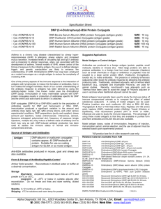 Anti-Glut-1 antibodies - Alpha Diagnostic International Inc.