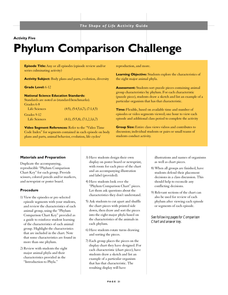 Phylum Chordata Comparison Chart