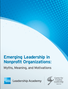 Emerging Leadership in Nonprofit Organizations