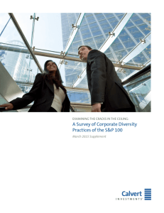 A Survey of Corporate Diversity Practices of the S&P 100