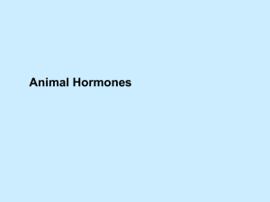 Animal Hormones - VCE