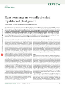 Plant hormones are versatile chemical regulators of plant growth