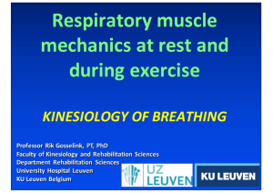 Respiratory muscle mechanics at rest and during