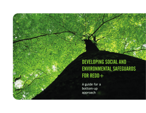 Developing Social and Environmental Safeguards for REDD+