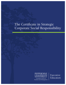 The Certificate in Strategic Corporate Social Responsibility