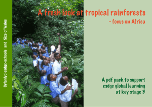 A fresh look at tropical rainforests