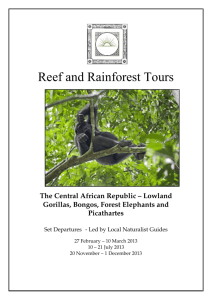 Reef and Rainforest Tours