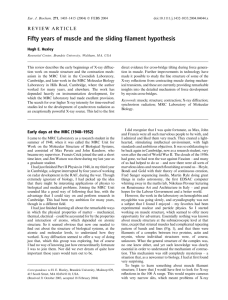 Fifty years of muscle and the sliding filament hypothesis