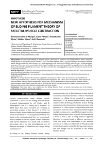 hypothesis new hypothesis for mechanism of sliding filament theory