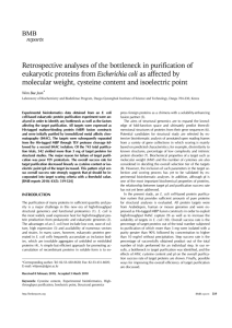 Retrospective analyses of the bottleneck in purification of eukaryotic
