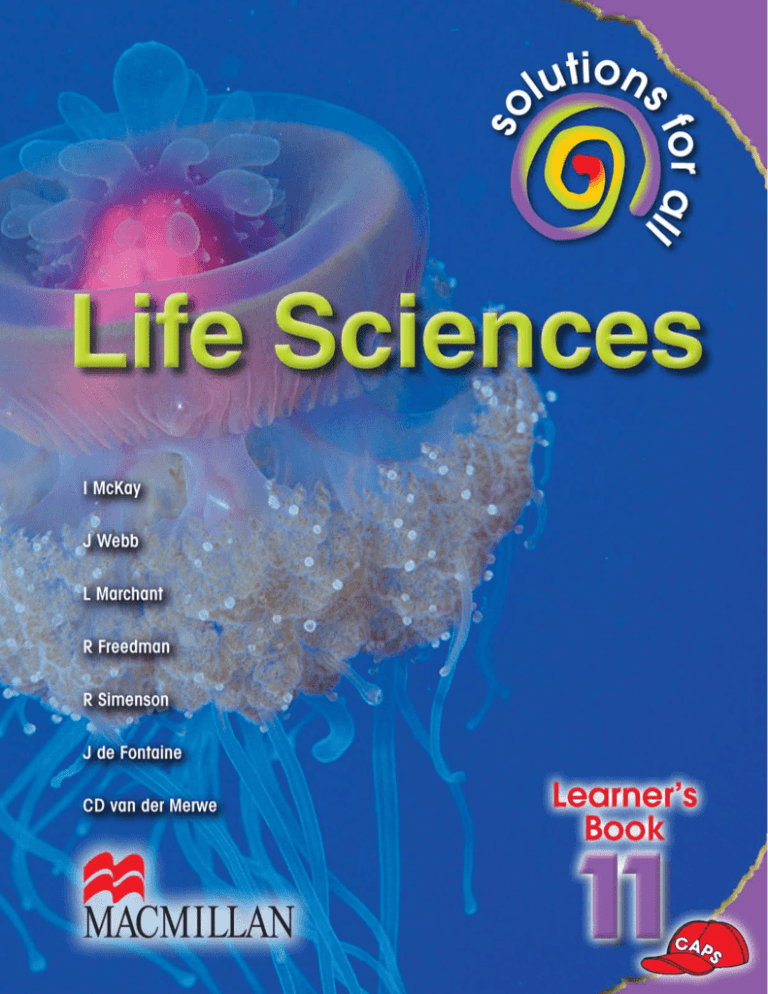 life science grade 11 assignment term 2 photosynthesis 2023