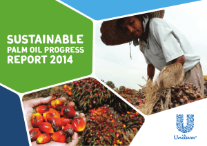 Sustainable Palm Oil Progress Report