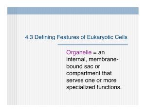 Organelle = an internal, membrane- bound sac or - Biology