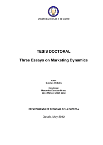 Three essays on marketing dynamics - e