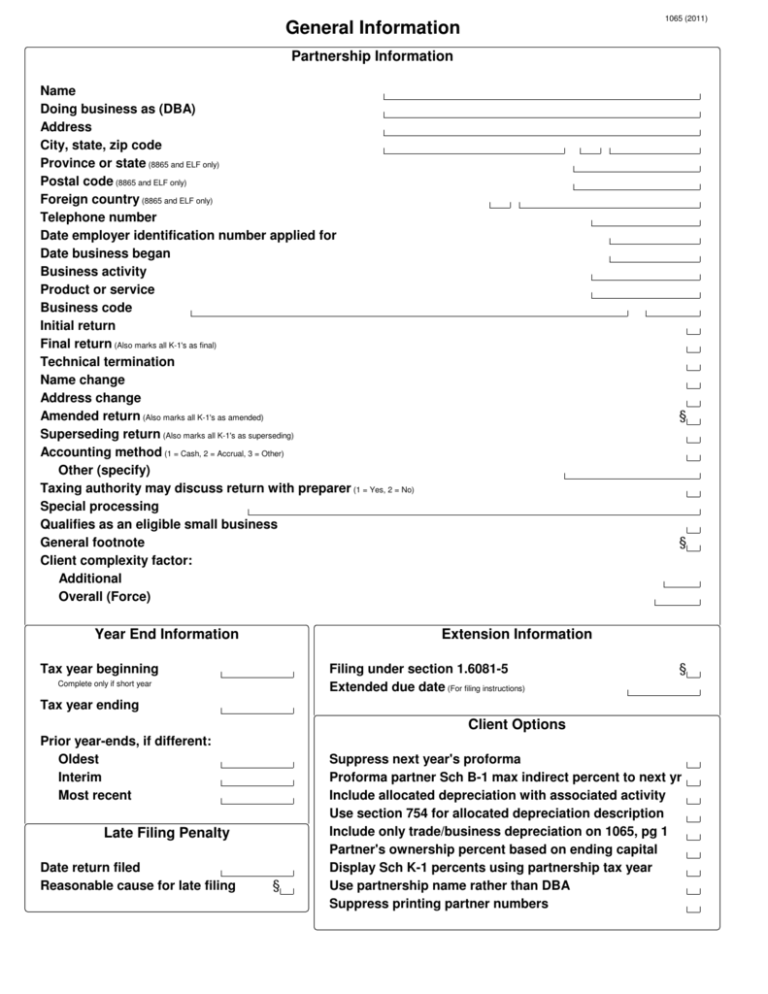 extension to file 1065 tax form
