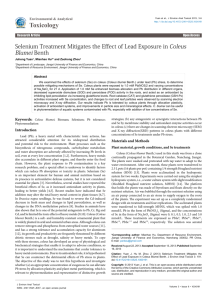 Selenium Treatment Mitigates the Effect of Lead Exposure in Coleus