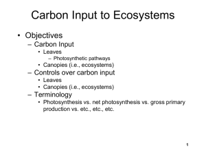 Carbon Input to Ecosystems - College of Tropical Agriculture and