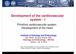 Development of the cardiovascular system