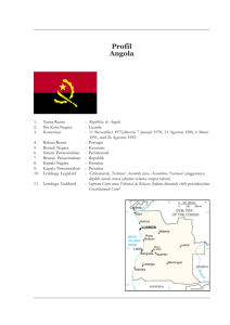 Profil Angola