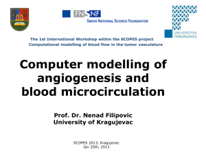 Computer modelling of angiogenesis and blood microcirculation