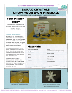 Borax Mineral Activity