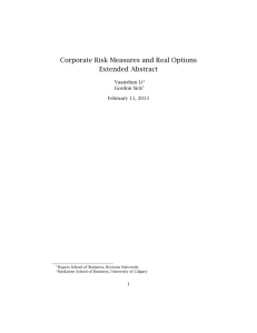 Exercise of Real Development Options and Corporate Risk Measures
