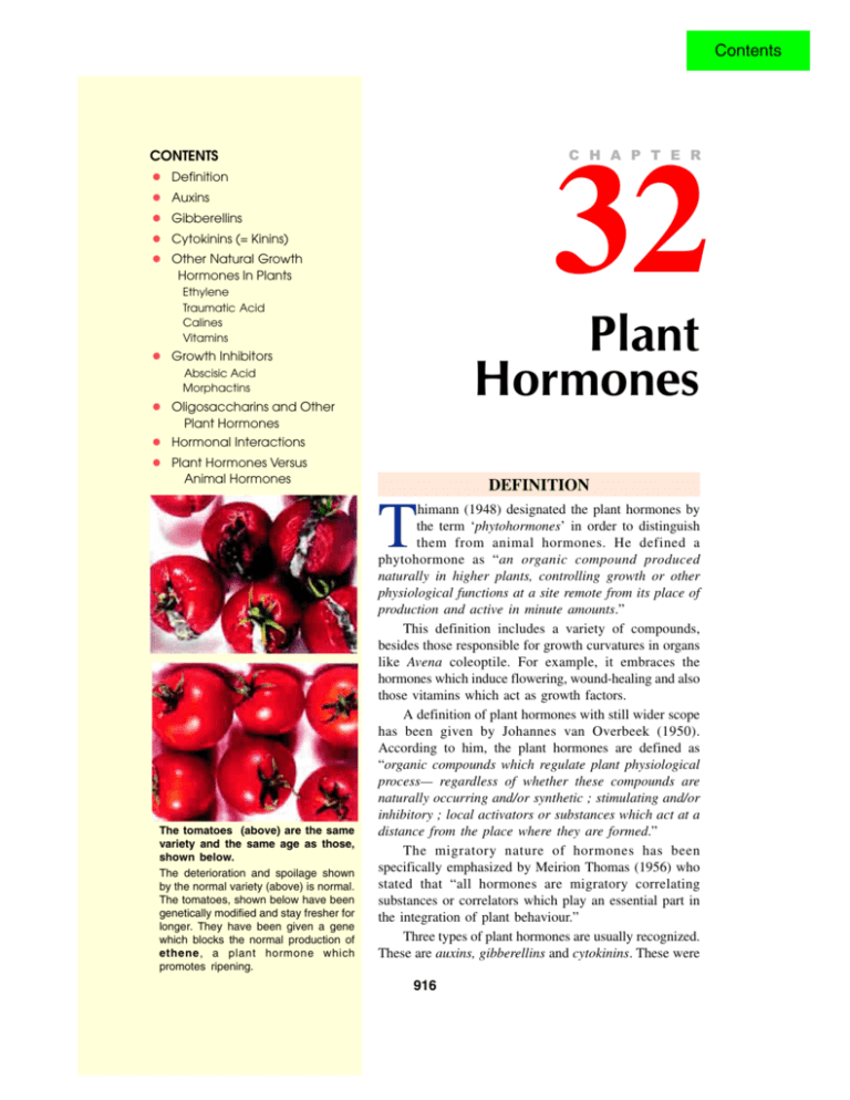 32. plant hormones
