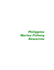 Philippine Marine Fishery Resources