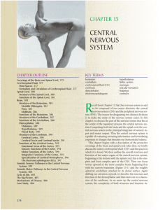 Ch. 14 CNS textbook