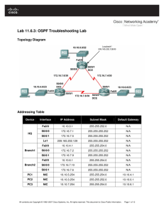 Lab 11.6.3: OSPF Troubleshooting Lab