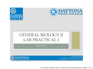 General Biology II Lab Practical I